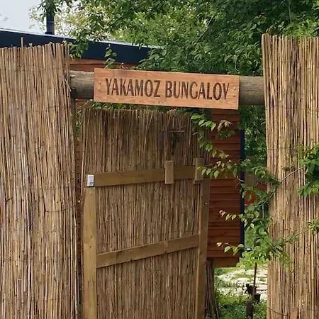 Yakamoz
